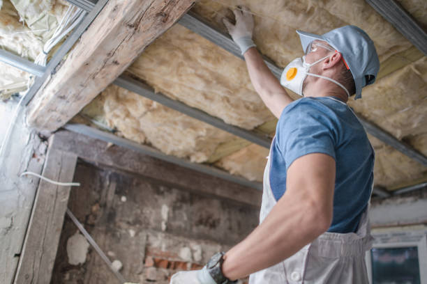 Professional Insulation Contractor in Violet, LA