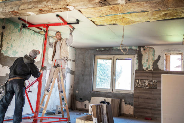 Best Geographic-Specific Insulation Services in Violet, LA