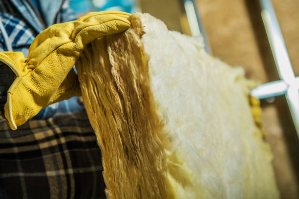 Types of Insulation We Offer in Violet, LA