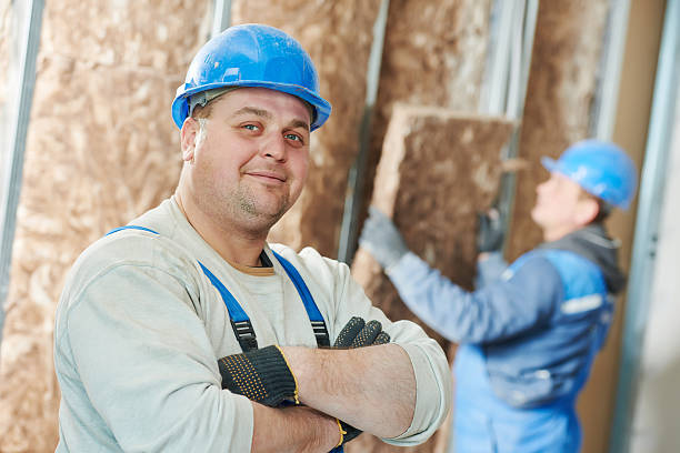 Best Insulation Maintenance and Repair in Violet, LA