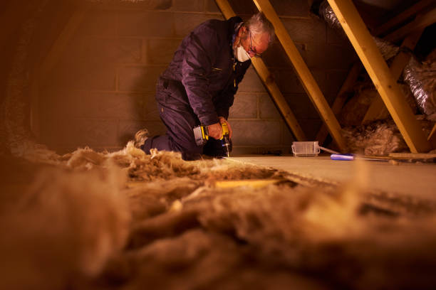 Best Cellulose Insulation in Violet, LA